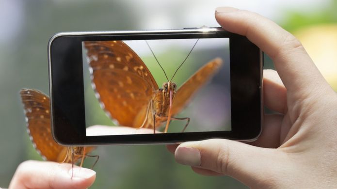 ¿De qué especie se trata? Con esta app, podrás saberlo de inmediato. GETTY IMAGES
