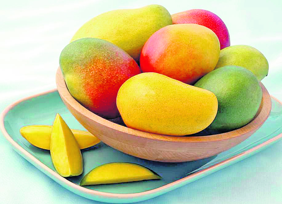 El mango guatemalteco se abre camino en Sudamérica.