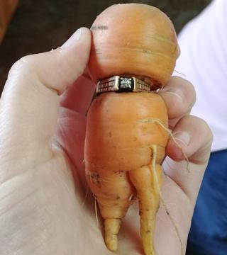 TWITTER/660 NEWS CALGARY