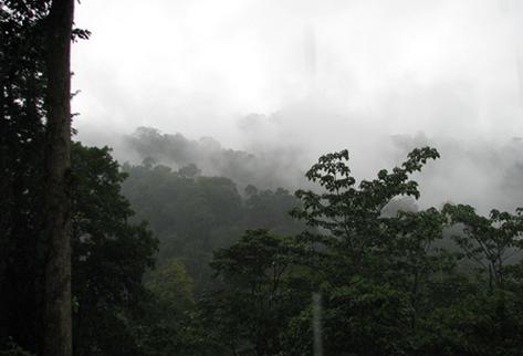 La Reserva Hídrica y Forestal Sierra Caral fue declarada Área Protegida por el Congreso de la República, bajo el Decreto 16-2014. Comprende 19 mil 13 hectáreas, agrupadas en tres zonas de protección: zona núcleo, zona de uso múltiple y zona de amortiguamiento. (Foto Prensa Libre: cortesía Fundaeco).