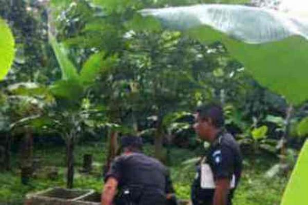 Dos agentes de la PNC inspeccionan el lugar donde fue encontrado el cadáver de Jeremías Gamaliel López, en Nuevo San Carlos. (Foto Prensa Libre: Jorge Tizol)