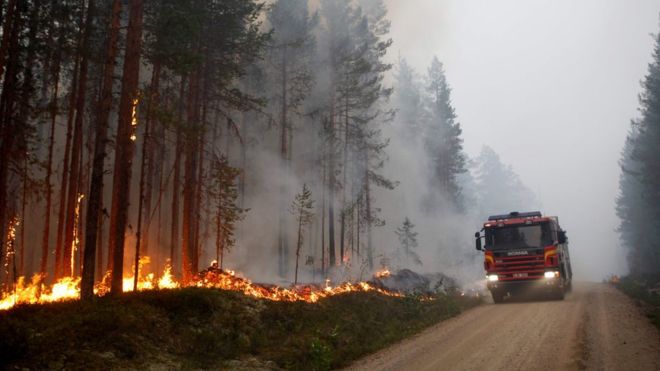Suecia ha sido uno de los países más afectados por los incendios forestales derivados de la ola de calor que afecta a Europa. (AFP)