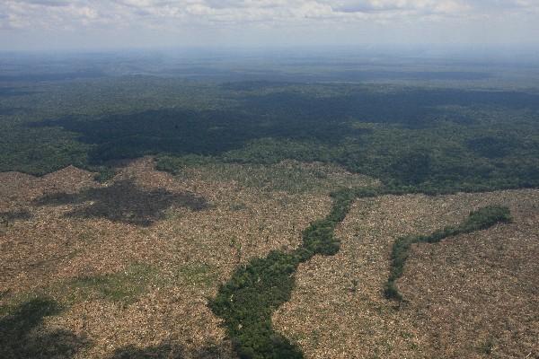Miles de hectáreas se pierden cada año en los sitios protegidos de Petén.