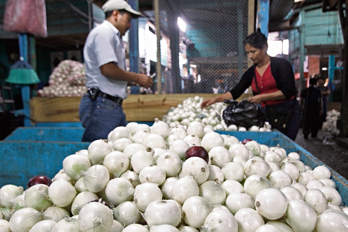La producción de cebolla nacional y la importación de esa legumbre de México ha disminuido en las últimas semanas. (Foto Prensa Libre: Alvaro Interiano)