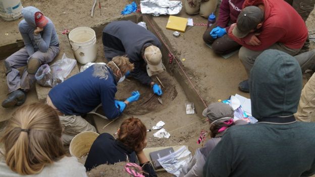 El esqueleto de la bebé de seis semanas de edad fue desenterrado en el sitio arqueológico Upward Sun River en 2013. Foto: AFP/Nature/Universidad de Alaska Fairbanks/Ben Potter.