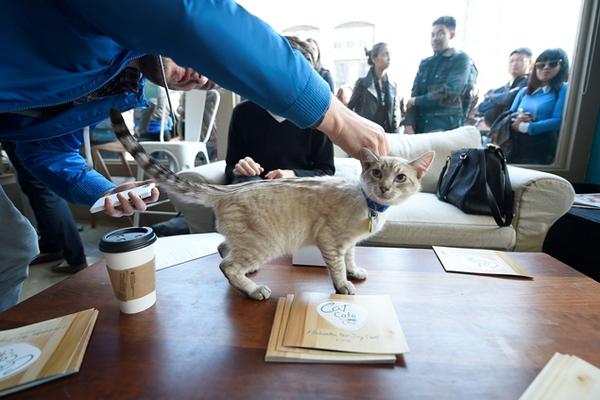 <br _mce_bogus="1"/>