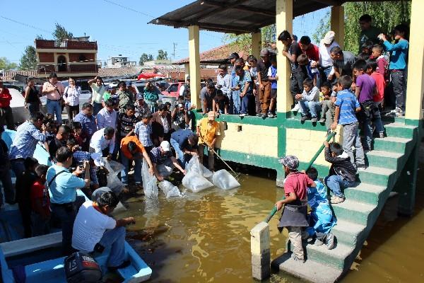 Delegados de Unipesca liberan crías de peces en la laguna Las Garzas,  San Antonio Ilotenango.