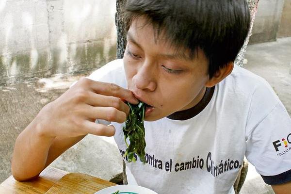 LA SOPA de bledo es la manera más popular en Guatemala de consumir esta planta.