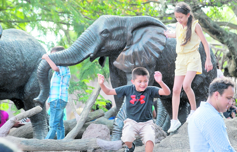 El Zoológico La Aurora también abrió cupo para cursos de vacaciones de medio año. (Foto Prensa Libre: Estuardo Paredes)