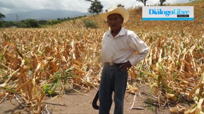 Expertos pronostican una sequía prolongada que afectará las cosechas ( Foto Prensa Libre: Hemeroteca PL)