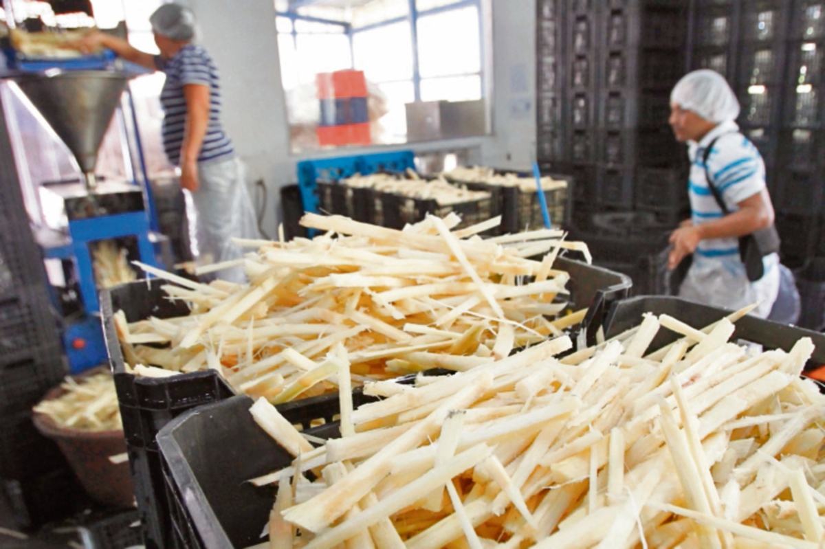 El procesamiento de conservas de frutas emplea gran cantidad de insumos. (Foto Prensa Libre: Alvaro Interiano)
