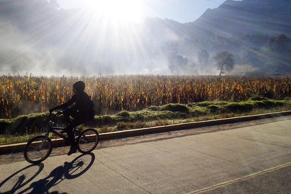 Varios municipios de Quetzaltenango registraron temperaturas bajo cero. (Foto Prensa Libre: Carlos Ventura).