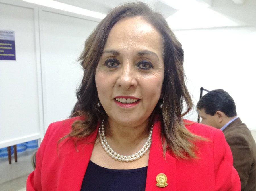 Amelida Pineda es la actual presidenta del Colegio de Contadores Públicos. (Foto Prensa Libre: Guatemala Visible)