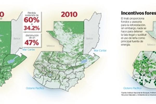 La deforestación ha avanzado considerablemente en los últimos 50 años.<br _mce_bogus="1"/>