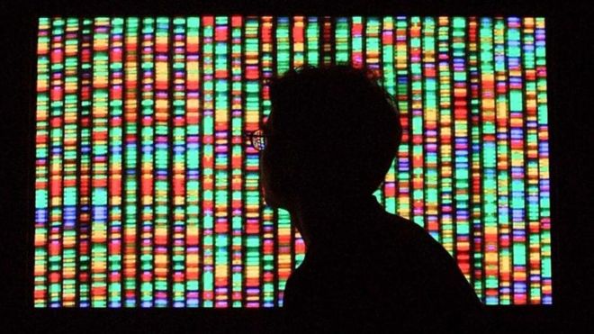 Los genes pueden definir mucho de lo que somos, pero no son el único factor. GETTY IMAGES