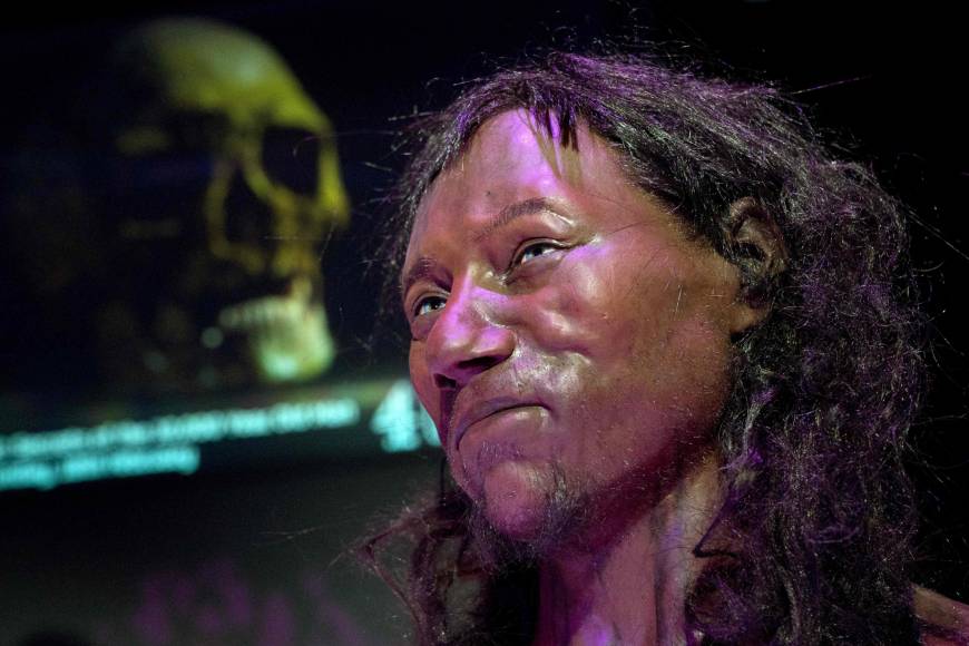 Según investigadores, el “Cheddar Man” tenía una esperanza de vida de 20 años y llegaba a medir 1.66 metros. (Foto Prensa Libre: AFP)