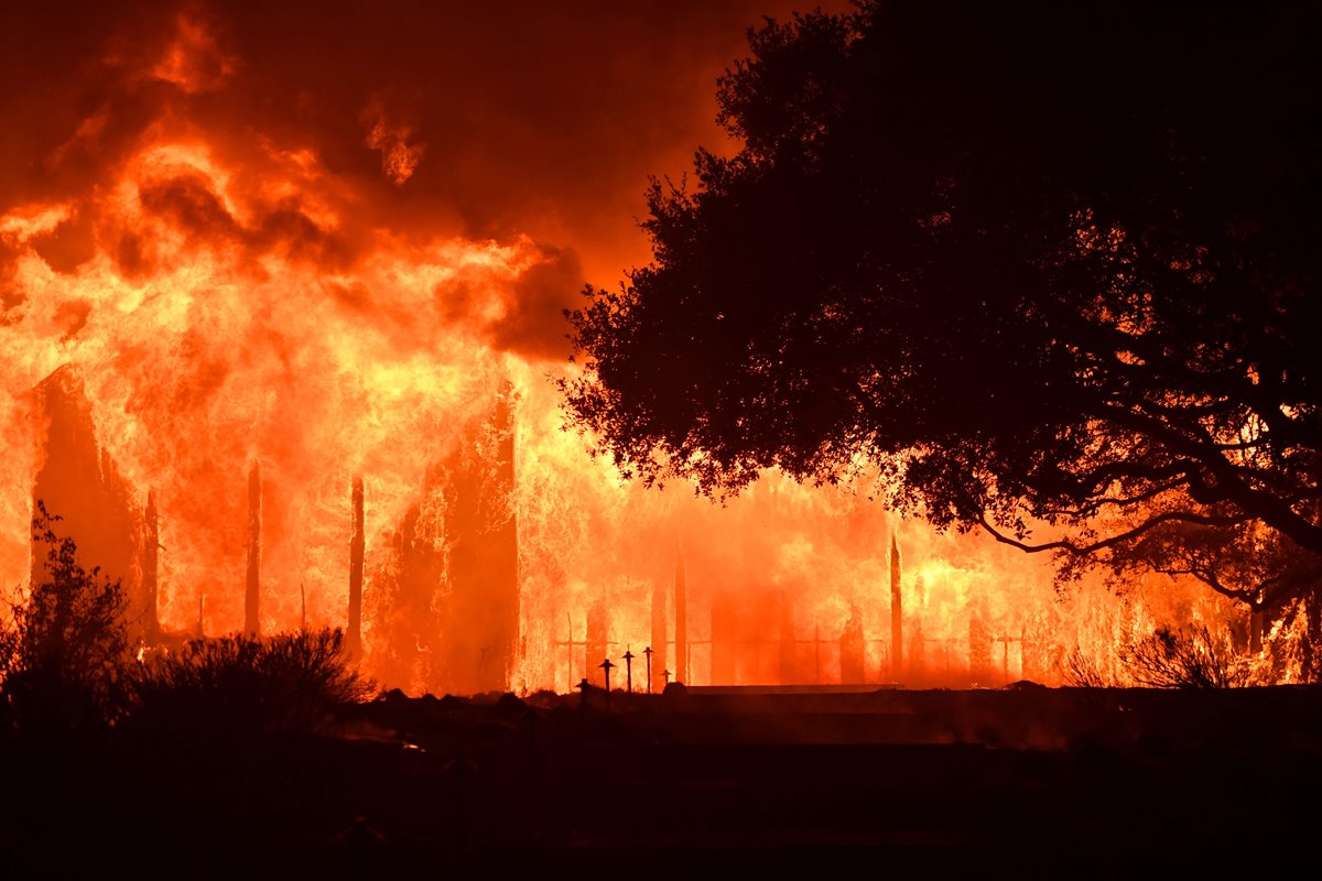 Industria del vino tardará años en recuperarse por incendios devastadores en California. (Foto Prensa Libre: AFP)