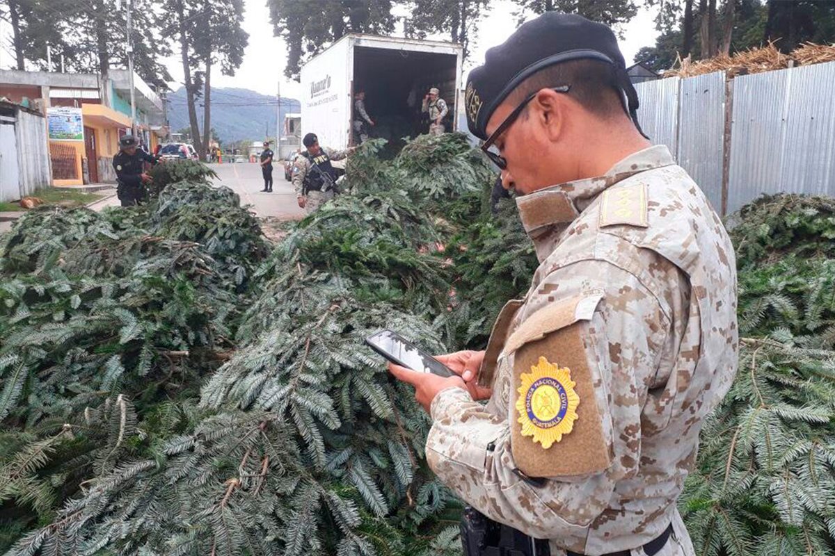 Agentes de la PNC resguardan las ramillas de pinabete decomisadas en San Andrés Chapil, San Pedro Sacatepéquez, San Marcos. (Foto Prensa Libre: Whitmer Barrera)