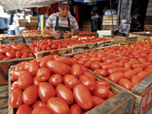 El tomate fue el principal producto que disparó la inflación a 5.22% en julio, reportó el índice de precios al consumidor. (Foto Prensa Libre: Álvaro Interiano)