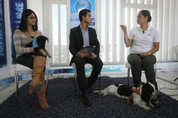 Las médicas veterinarias Claudia Hernández y Andrea Polanco, en El Consultorio