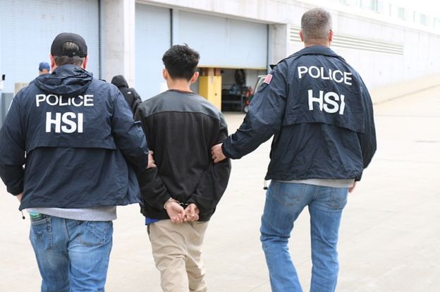 En el último mes, 39 pandilleros de MS 13 fueron arrestados en el condado de Suffolk.(ICE).