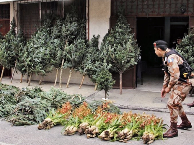La semana última se efectuaron dos decomisos grandes: el lunes se incautó barba de viejo, y el jueves, unas 14 mil ramillas de pinabete.