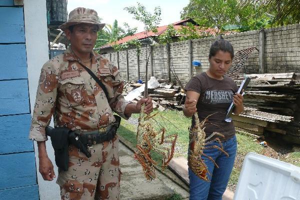 Agente muestra langosta decomisada.