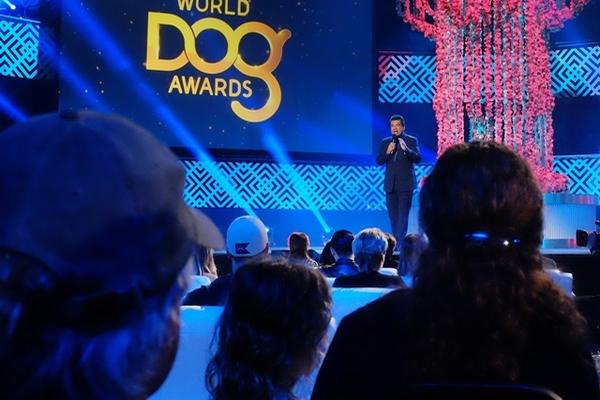 Los World Dog Awards reconocen las mejores actuaciones caninas del cine (Foto Prensa Libre: AP).