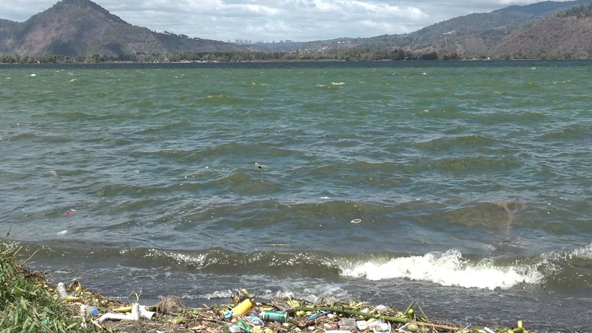 Expertos advierten que el lago podría secarse debido al incremento de contaminación. (Foto Prensa Libre: Fernando Magzul)