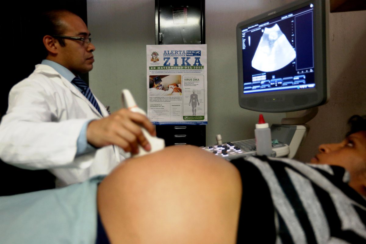 Diez  embarazadas tienen el virus del Zika en Guatemala confirmó Salud. (Foto Prensa Libre: AFP)
