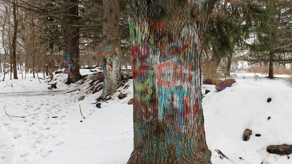 La ciudad llamó la atención de artistas del graffiti, al punto que en una calle que ya no funciona se la bautizó como Autopista del Graffiti, por los que aparecen en los árboles.