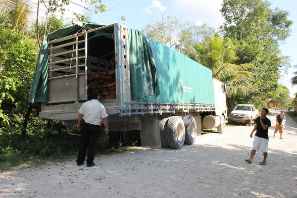 El lote de madera incautada asciende a más de Q85 mil según autoridades. (Foto Prensa Libre: Walfredo Obando)<br _mce_bogus="1"/>