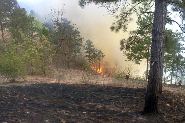 Seis hectáreas de bosque de pino se quemaron en aldea El Divisadero, Jalapa. (Foto Prensa Libre: Hugo Oliva)<br _mce_bogus="1"/>
