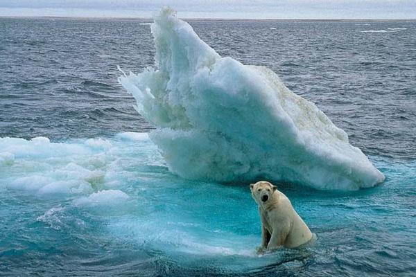 El cambio climático influye en los ecosistemas del Ártico
