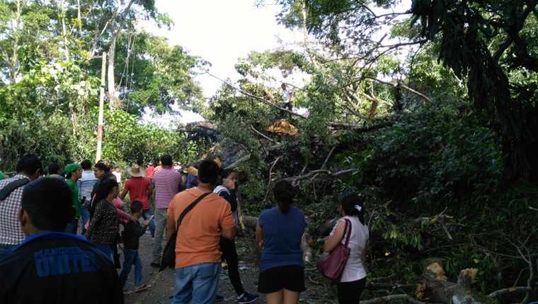 Paso en ruta a suroccidente permanece bloqueado por árbol, en Colomba, Quetzaltenango. (Foto Prensa Libre: Alexánder Coyoy)