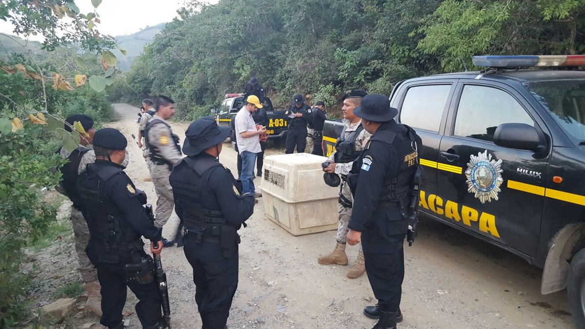 Agentes antinarcóticos rescatan a la leona en Zacapa. (Foto Prensa Libre: cortes)