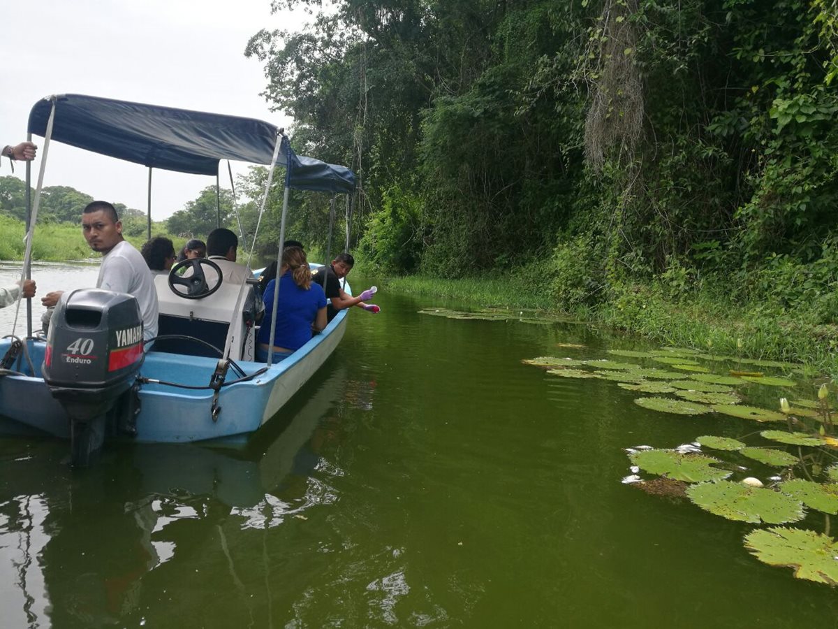Autoridades recorren el arroyo Ixlú, en Flores, en busca de evidencia que les permitan esclarecer las causas de la muerte de decenas de peces. (Foto Prensa Libre: Rigoberto Escobar)