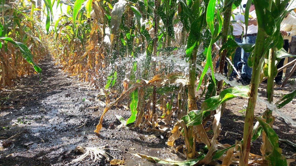 Prueba del sistema de riego que será implementado en San Manuel Chaparrón, Jalapa. (Foto Prensa Libre: Hugo Oliva).