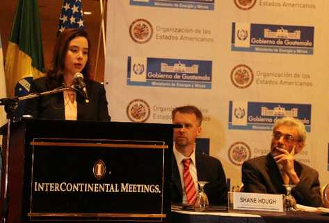 La viceministra de Desarrollo Sostenible, Ivanova Ancheta, durante la exposición del plan de apoyo de la OEA  en el uso del etanol. (Foto Prensa Libre: Hemeroteca PL)