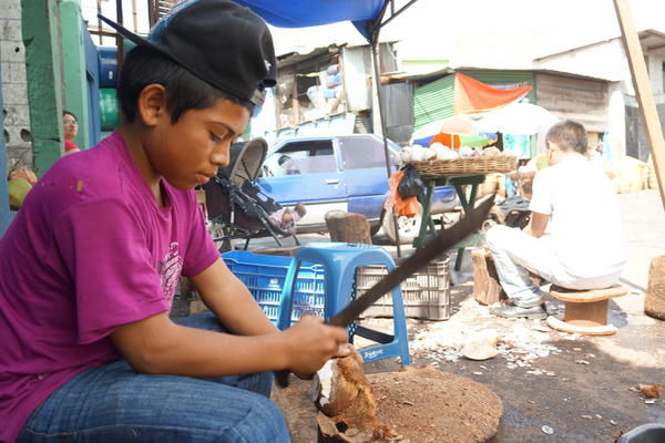Alexander de 14 años, gana Q50 al día por pelar cocos en el mercado La Terminal de la zona 4 de Guatemala, (Foto Prensa Libre: Mynor Toc) <br _mce_bogus="1"/>
