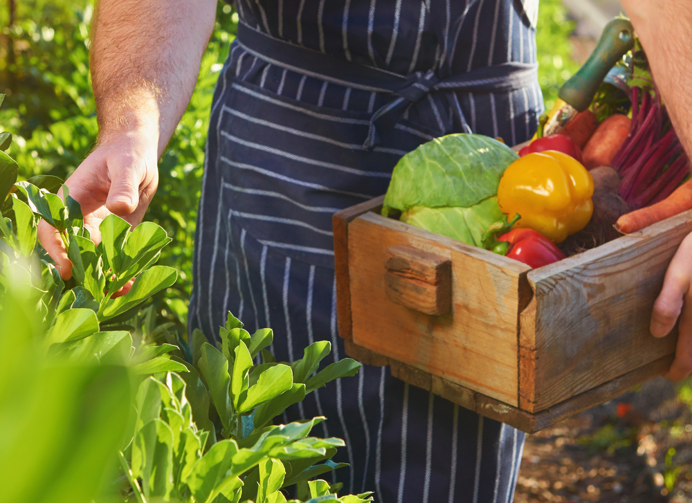 Tener como proveedores a agricultores locales o de la comunidad donde se ubica el restaurante también es una práctica aconsejable. (Foto Prensa Libre: Shutterstock)