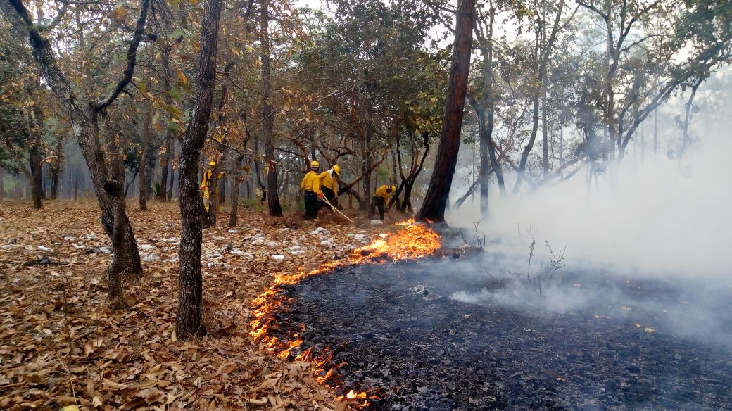 Imagen de un incendio forestal en Quiché. El aumento de la temperatura favorece estos fenómenos. (Foto Prensa Libre: Hemeroteca PL)