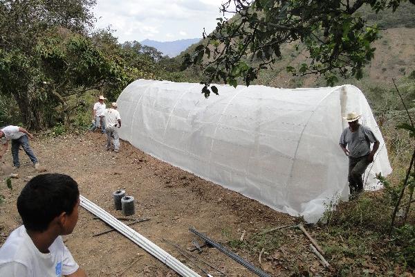 Uno de los túneles instalados.