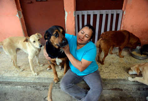 Zetino de 49 años junto a sus hijas cuidan a varios perros en su casa de  apenas 200 metros. (Foto Prensa Libre: AFP)