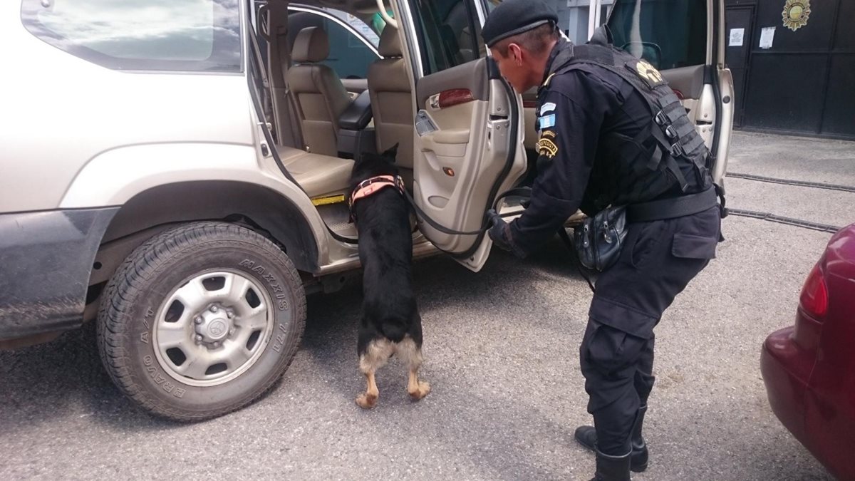 Agente canino Rambo en una de las inspecciones con agentes de la PNC. (Foto Prensa Libre: PNC)