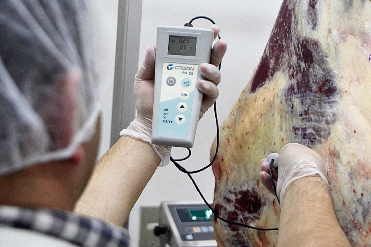 El Intecap capacita a carniceros para evitar contaminación de producto y el uso de aparatos para establecer el tiempo que ha pasado desde que se sacrificó un animal. (Foto Prensa Libre: Edwin Bercián)