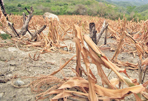Diputado asegura que la ampliación del Estado de Calamidad es anómala. (Foto Prensa Libre: ARCHIVO).