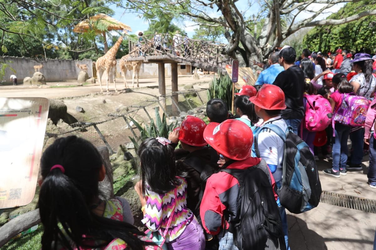 Cientos de infantes asistieron al Zoológico La Aurora para celebrar el Día del Niño (Foto Prensa Libre: Érick Ávila)
