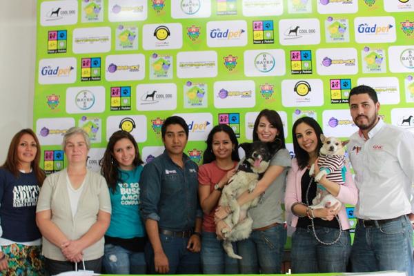Representantes de organizaciones que participarán en la II Feria de adopción