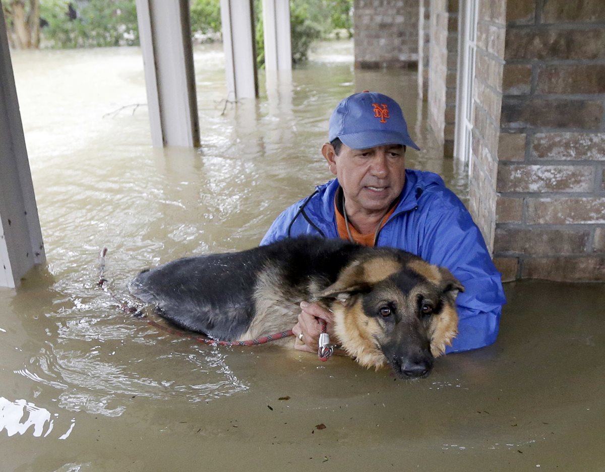Joe García carga a su perra Heidi  para rescatarla de la inundación.